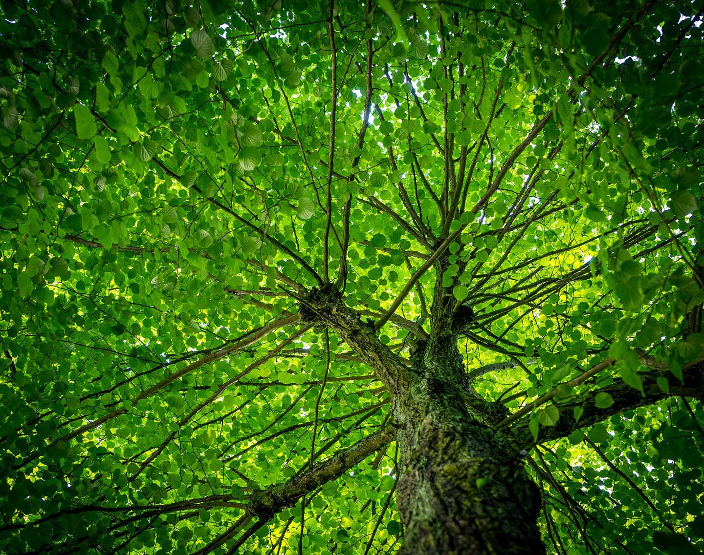 7 mesures à prendre pour devenir plus durable plus rapidement